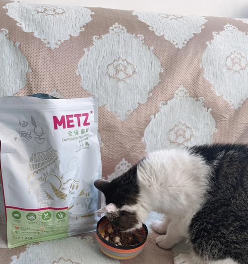 如何选购不臭的猫粮(以猫咪的口味和营养需求为基础)