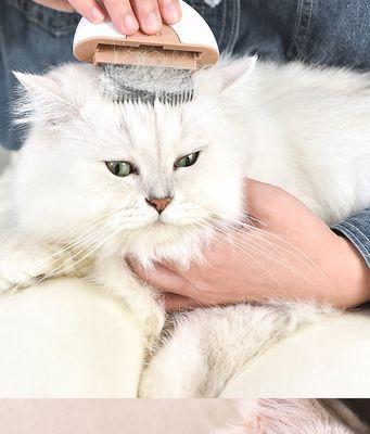 如何有效地为宠物猫解决打结脱毛不红肿问题（快速了解猫咪打结脱毛的原因和解决办法）
