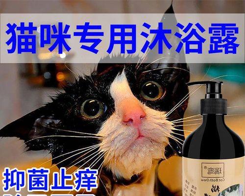 猫咪螨虫处理全攻略（如何识别和预防）