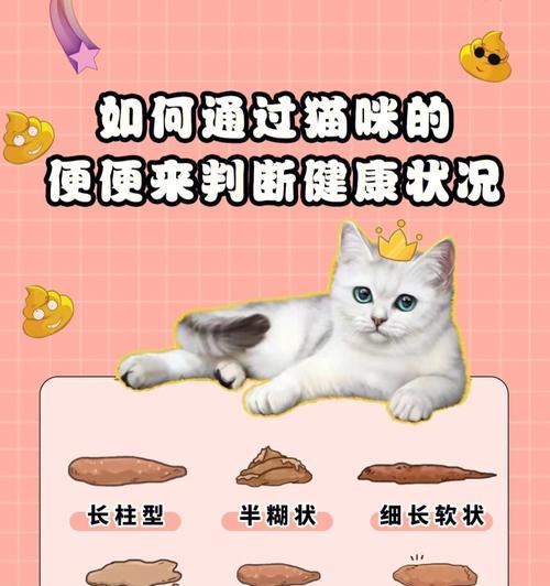 猫咪屎硬怎么办（探究猫咪屎硬的原因以及解决方法）