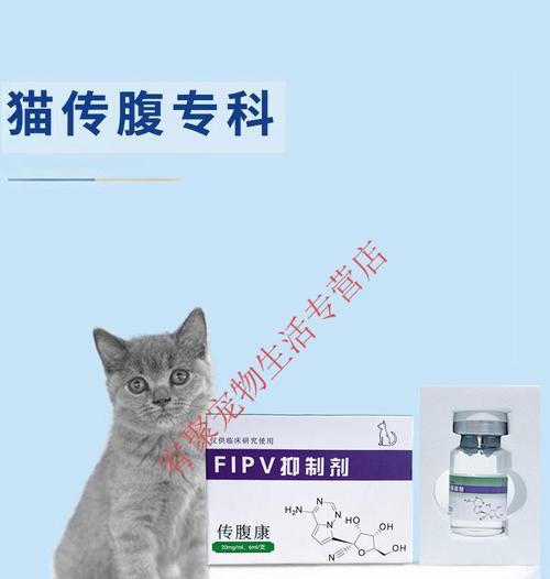 猫咪腹膜炎的传染途径与预防措施（以宠物为主的疾病防治）