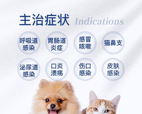 猫咪感冒治疗费用揭秘（以宠物为主）