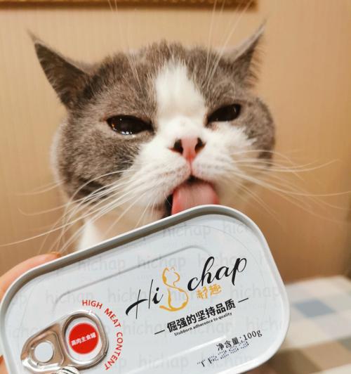 猫咪的饮食（了解宠物需求）