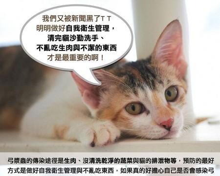 宠物猫拉出长白虫，惊醒养宠人对宠物健康的重视（猫咪身上的长白虫是什么）