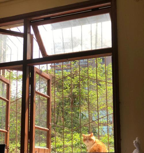 猫咪跳窗的奇妙冒险（一只宠物猫如何跳出一米高的窗户）