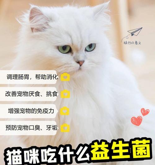 如何消除宠物猫身上的细菌（保护家庭健康）