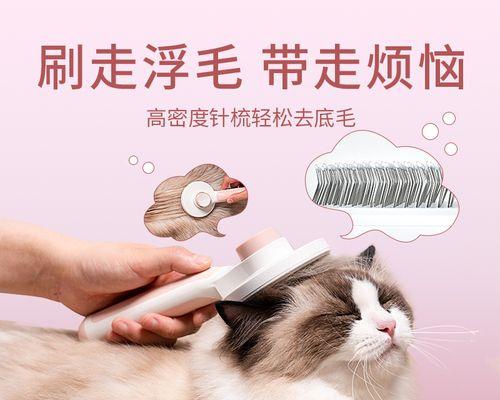 如何正确使用除毛膏给宠物猫（宠物猫是否需要经常食用除毛膏）