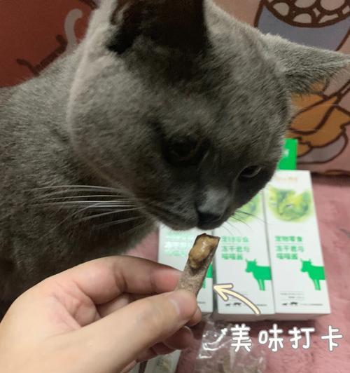 宠物猫咪一次应该吃多少克牛肉(了解你的猫咪的营养需求和身体状况)