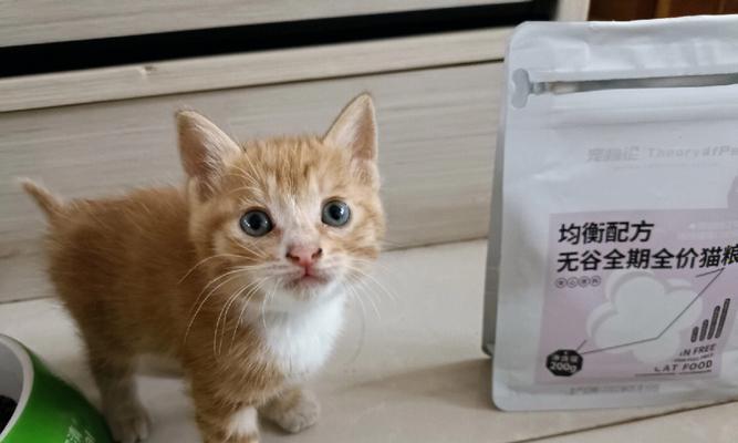 猫咪为什么不能只吃猫粮（了解宠物饮食的重要性）