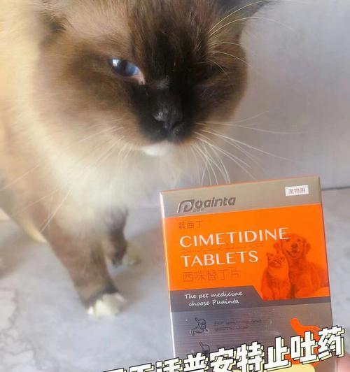 如何治疗宠物猫咪又吐又拉（了解症状及如何正确用药）