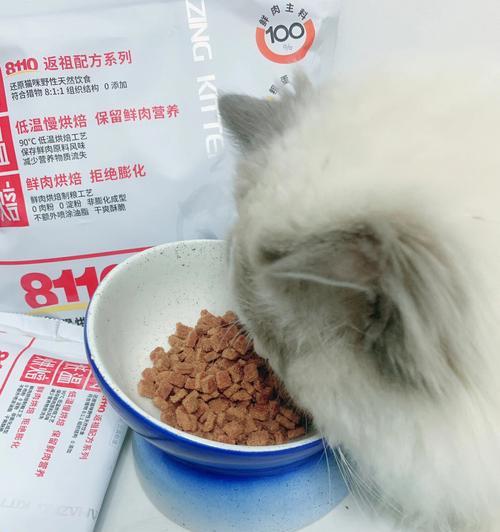 自制猫粮，让你的猫咪健康成长（以宠物为主）