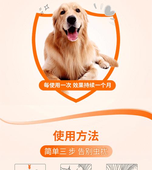 如何为怀孕的母狗进行驱虫(选择合适的驱虫药品是关键)