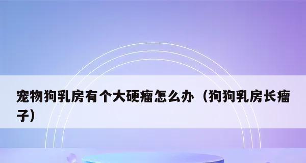 母狗桃子红肿是怎么了（探究母狗生殖系统问题的原因和处理方法）