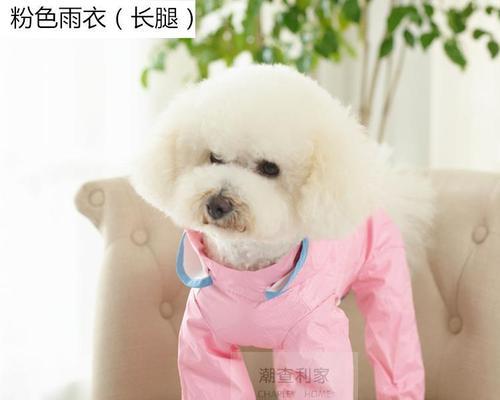 母犬生小狗后如何正确洗澡（宠物美容师的实用技巧）