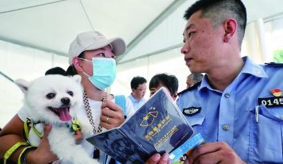 上海闵行狗证办理全指南（从宠物犬的购买到狗证的办理）
