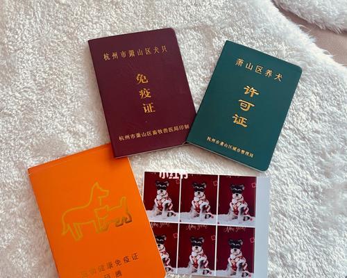 石家庄办狗证需要多少费用（了解宠物证件办理所需的费用及流程）