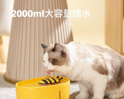 猫咪腹部有水是什么造成（宠物腹部水肿怎么办）