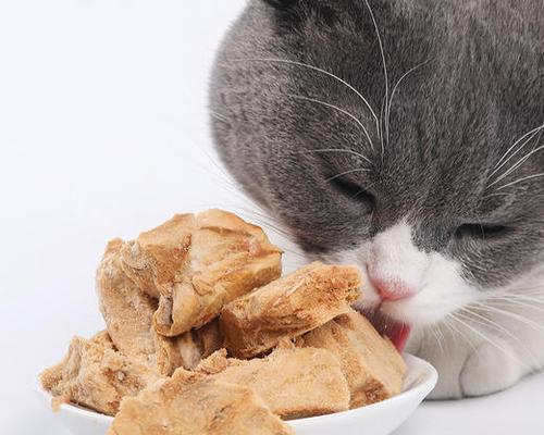 猫咪能否直接食用三文鱼（探讨猫咪食用三文鱼的利与弊）