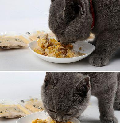 猫咪三个月能吃什么零食(探究适合三个月大猫咪的零食种类及营养成分)