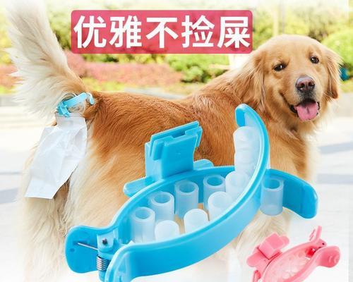 狗狗粪便为什么会变白(探究狗狗粪便变白的原因和应对方法)