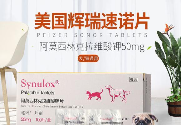 小儿阿莫西林狗用药指南(以宠物为主)