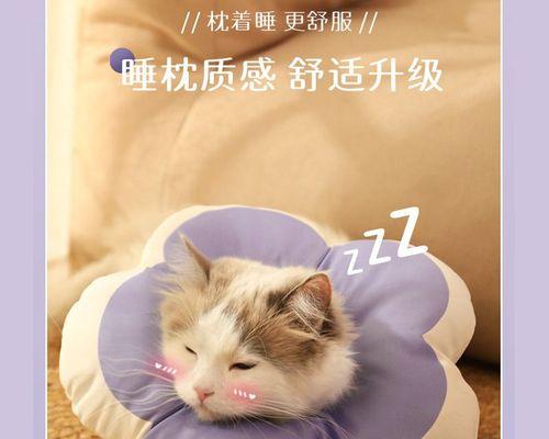 宠物猫咪出气问题的解决方法(如何处理猫咪脖子出气的情况)