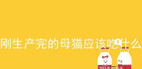 猫咪补钙,这些食物不能错过(以宠物为主)