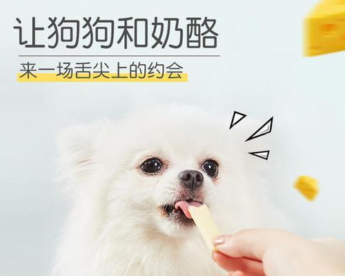 猫咪补钙的最佳选择(以宠物为主)