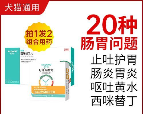 猫咪肠胃发炎的治疗方法（宠物猫肠胃炎发作怎么办）