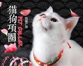 猫咪吃了绳子,急需处理(猫咪吃了口罩绳子怎么办)