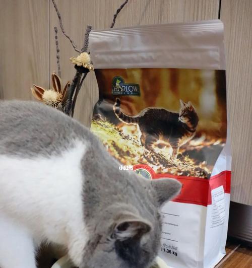 猫咪吃了一个月猫粮，怎么处理（宠物主人必读）