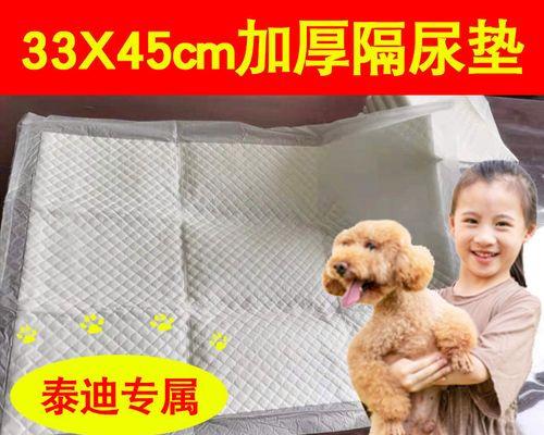 猫咪吃尿垫怎么办?解决宠物吃尿的问题