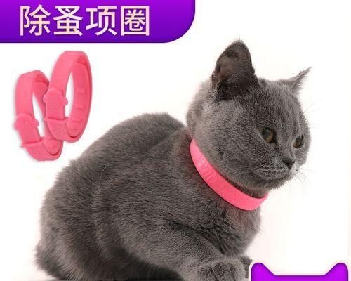 猫咪吃药的健康指南（宠物药物使用注意事项及常见用药种类）