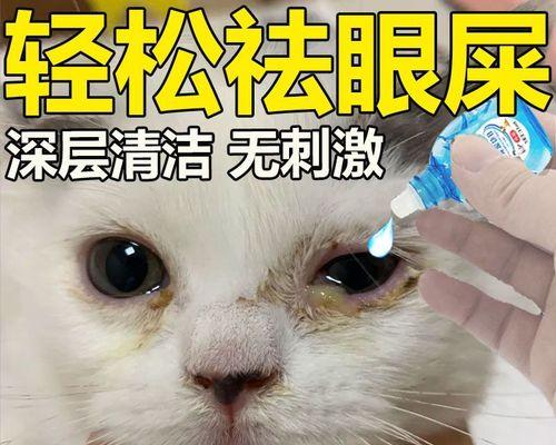 如何清理宠物猫的眼睛(小猫眼睛脏了怎么办)