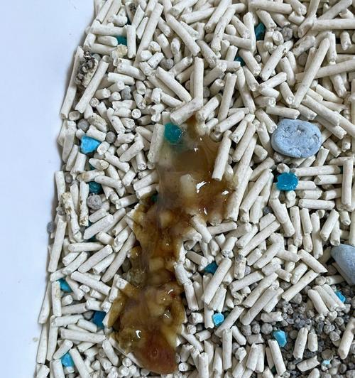 探寻宠物拉屎行为的原因与应对方法(探寻宠物拉屎行为的原因与应对方法)
