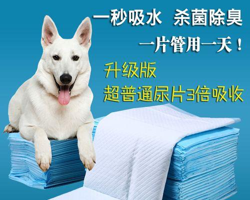 初次洗澡的小金毛（以新生的小狗为例）