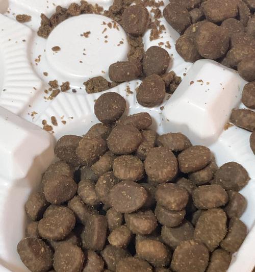 狗粮渴望引发呕吐（让爱宠远离危险）