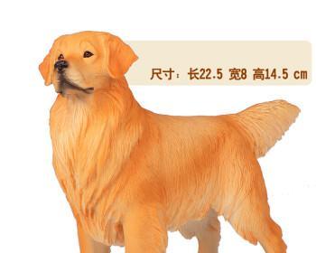 探秘以风水狗为代表的狗品种(宠物之中别具风水吉祥之犬)