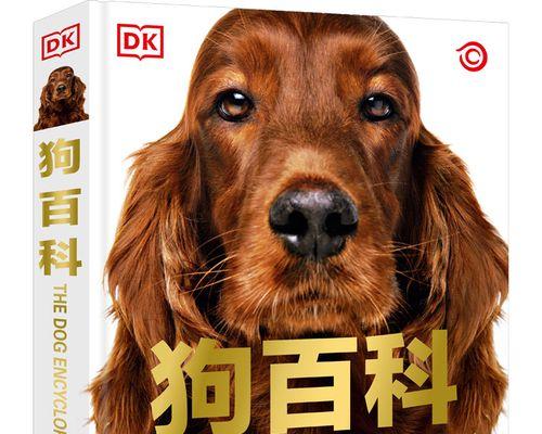 狗狗产后遗症的预防和治疗(宠物主人必须知道的产后护理知识)