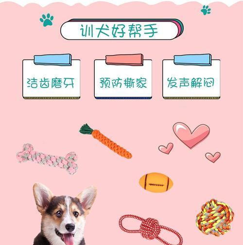 狗狗为何老舔小鸡鸡(探究狗狗舔小鸡鸡的原因与影响)
