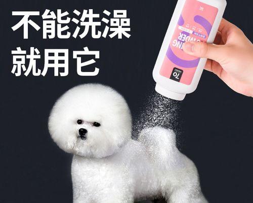 狗狗干洗粉的优点和缺点(解析狗狗干洗粉)