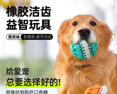 狗狗睡觉磨牙齿的原因和解决方法（让你的宠物睡得更香甜）