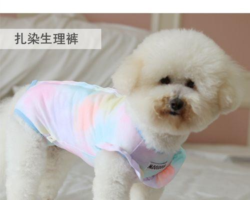 泰迪狗狗能否抵御严寒(了解泰迪狗狗的耐寒性和如何保护它们)