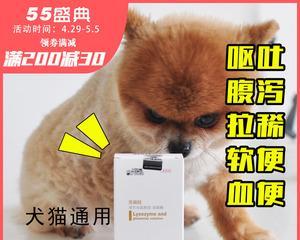 宠物小狗狗肠炎的治疗方法（小狗狗肠炎的症状及预防措施）