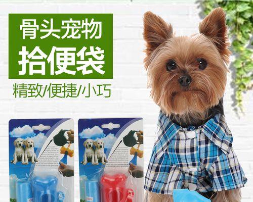 如何教狗狗在户外便便（让宠物养成良好的外出习惯）