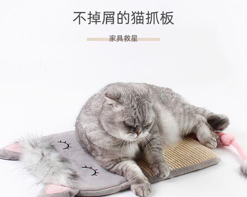 为什么猫喜欢磨爪子（探究猫咪磨爪的原因和好处）
