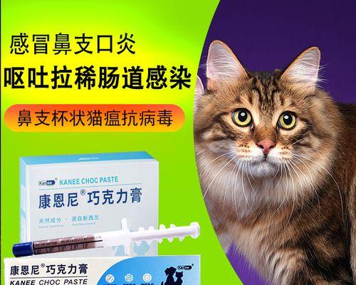 猫咪宝宝感冒怎么办（解读宝宝感冒病因）