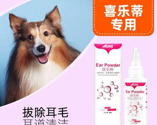 如何清理猫咪毛发污垢(宠物爱好者必看)