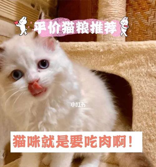 猫咪几个月开始能吃肉?
