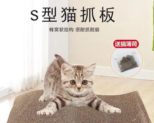 喵星人的“爪”迹(以猫咪见主人就抓猫抓板的故事)